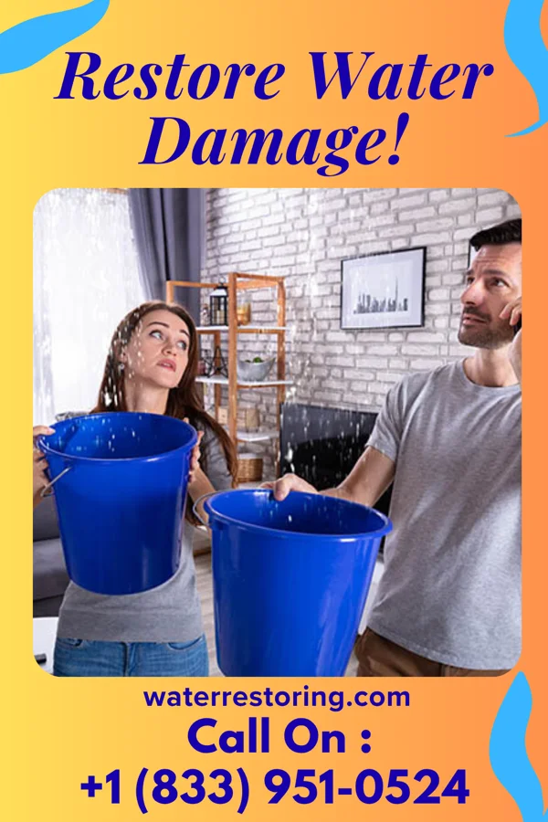 water restoration National Water Repair Team Atlantic Highlands