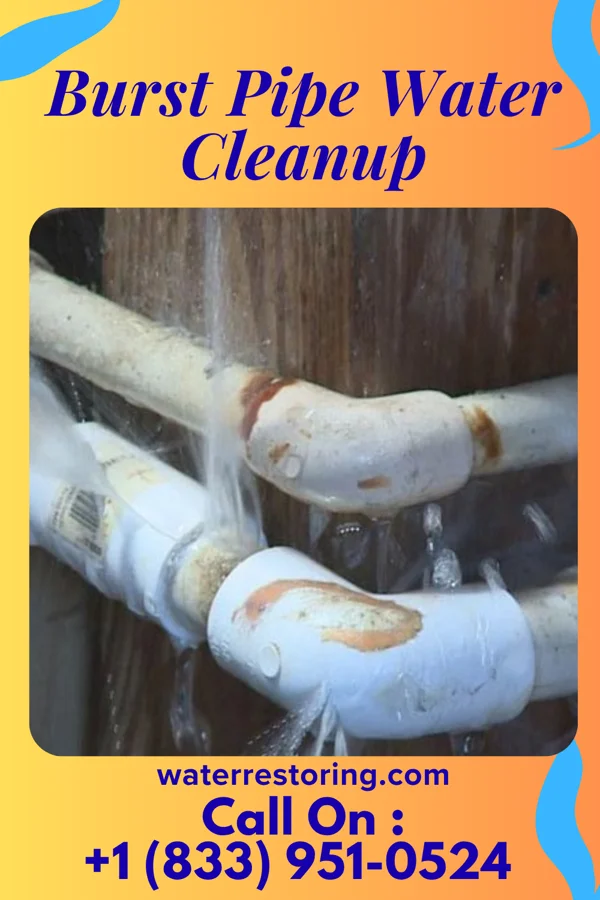 Burst Pipe Water Cleanup in Atlantic Highlands, NJ