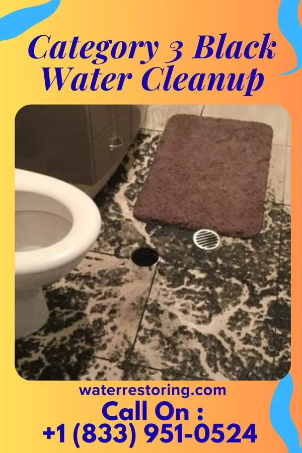 Category 3 Black Water Cleanup in Atlantic Highlands, NJ