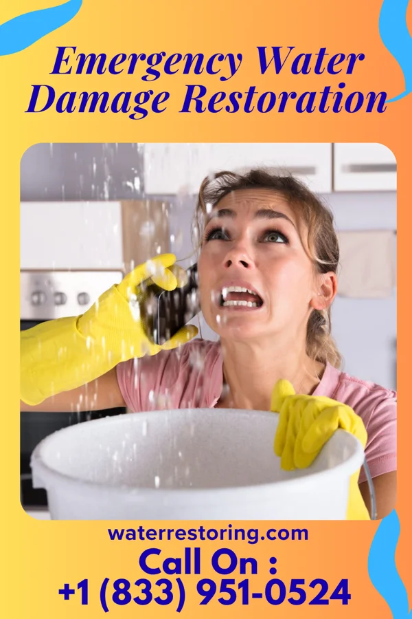 Emergency Water Damage Restoration in Atlantic Highlands, NJ