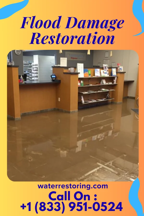 Flood Damage Restoration in Atlantic Highlands, NJ