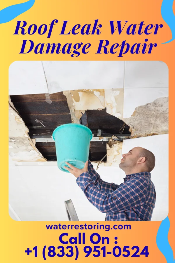 Roof Leak Water Damage Repair in Atlantic Highlands, NJ