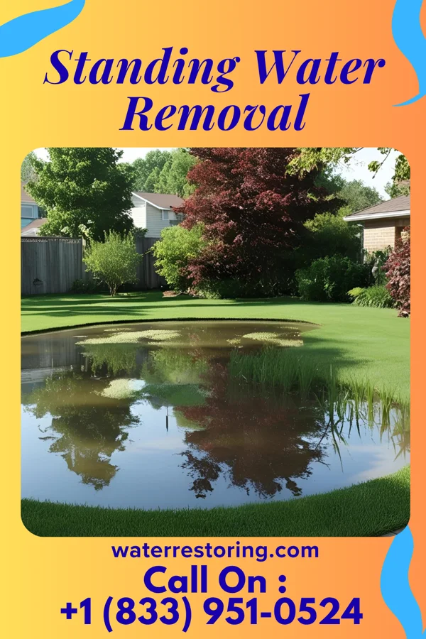 Standing Water Removal in Atlantic Highlands, NJ